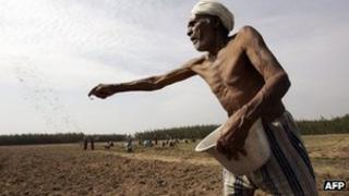 Indian farmer