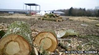 Felled trees at Oulton