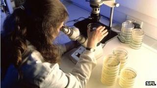 Researcher