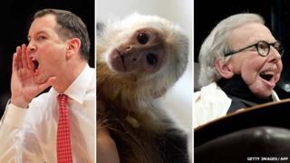 Mike Rice, Mally the monkey and Roger Ebert