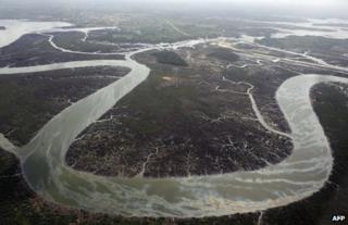 A view of the Niger Delta (file image)