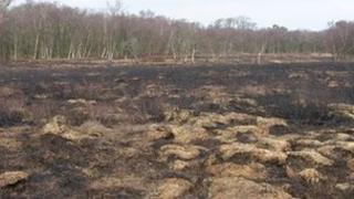 Fire damage at Heysham Moss