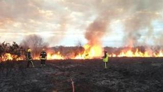 Scrubland fire