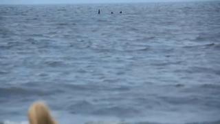 Footage of the Skegness Monster