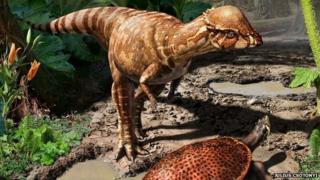 Reconstruction of Acrotholus audeti