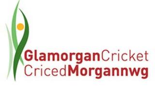 Clwb Criced Morgannwg