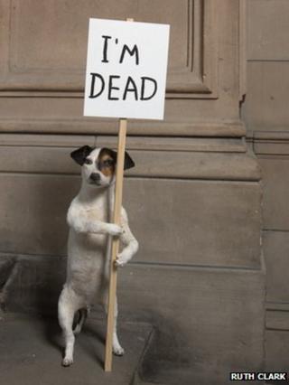 David Shrigley - I'm Dead