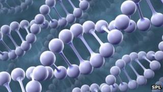 DNA