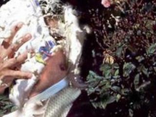 A man dressed as Mr Darcy gets a custard pie thrown in his face