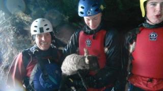 Lamb rescue