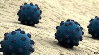 Artwork of HCV