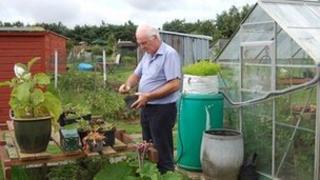 Allotment holder