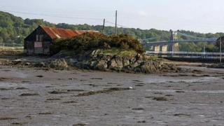 Ynys Faelog