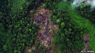 Gunung Leuser national park