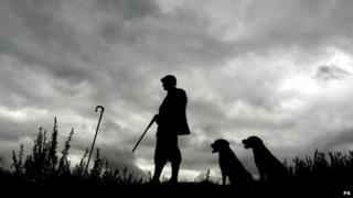 Grouse shooting