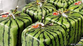 Cubic watermelons, grown in Japan