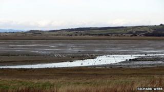 Shore near Aberlady