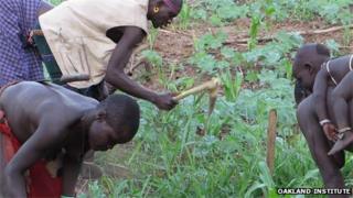 Omo Valley farmers