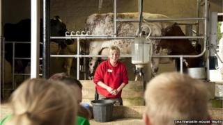 The farm's dairy