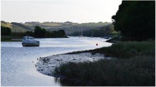 Avon near Aveton Gifford