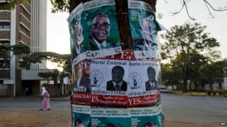 Election posters in Harare 30 July 2013