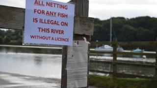 Netting warning