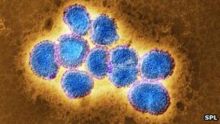 H7N9 bird flu