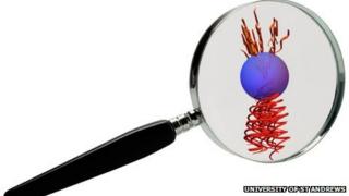 graphical mock up of the experiment