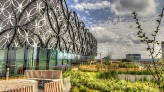 Library roof gardens