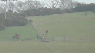 Still from IFAW video