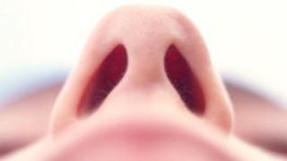 nose