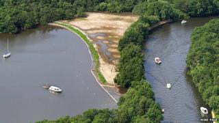Reed bed at Salhouse Broad