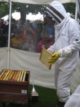 Beekeeper at 2013 Taunton Flower Show