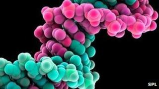 DNA representation
