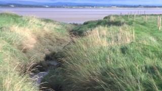 Solway Wetlands