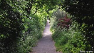 Beechen Cliff, overlooking Bath