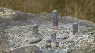 Sculpture Remains