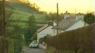 Cefn gwlad