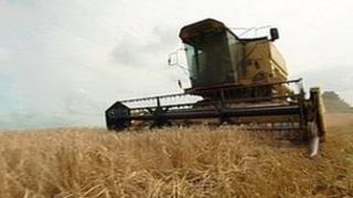 Combine harvester