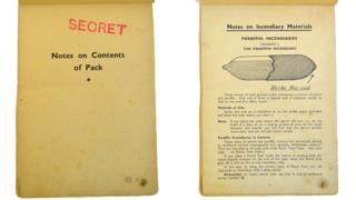 Inside bomb manual