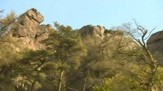 Cliffs and trees at The Roaches in Staffordshire