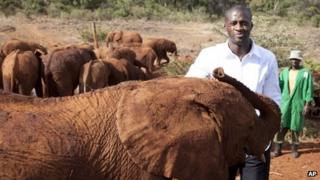 Yaya Toure visits baby elephants at the David Sheldrick Wildlife Trust elephant orphanage in Kenya (29 October 2013)