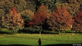 Person walking through Hyde Park, London (Getty Images)