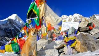 Rupee at Everest base camp