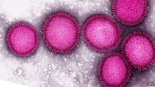 Influenza