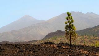 Tenerife