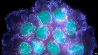 Cancer cells