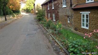 Flowerbed in Great Cransley