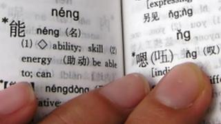 Hand and dictionary
