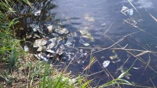 Money in river